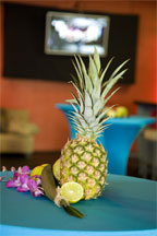 tropical-lounge